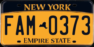 NY license plate FAM0373