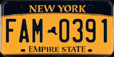 NY license plate FAM0391
