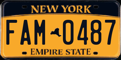 NY license plate FAM0487