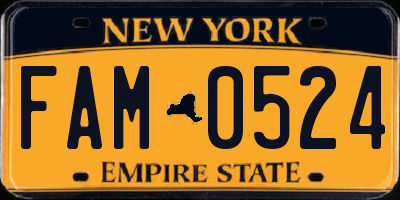 NY license plate FAM0524