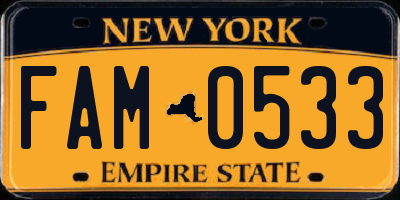 NY license plate FAM0533