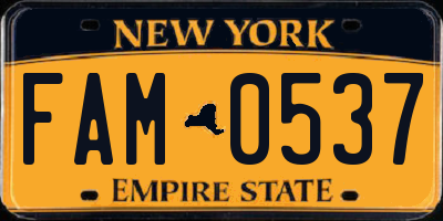 NY license plate FAM0537