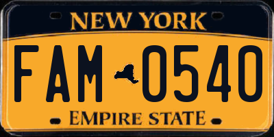 NY license plate FAM0540