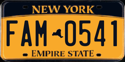 NY license plate FAM0541