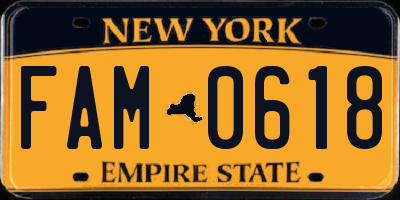 NY license plate FAM0618