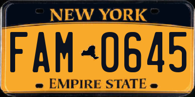 NY license plate FAM0645