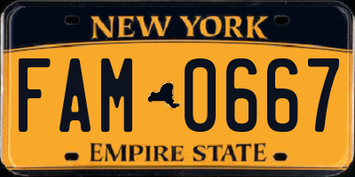 NY license plate FAM0667