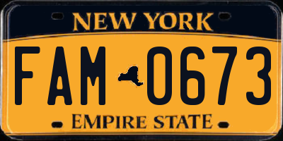 NY license plate FAM0673