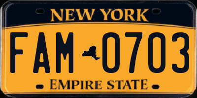 NY license plate FAM0703