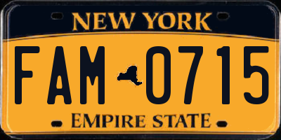 NY license plate FAM0715