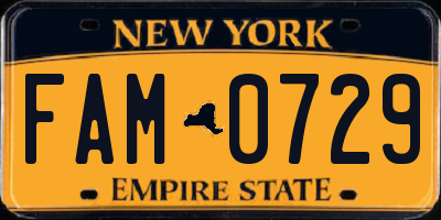NY license plate FAM0729