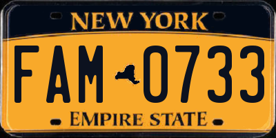 NY license plate FAM0733