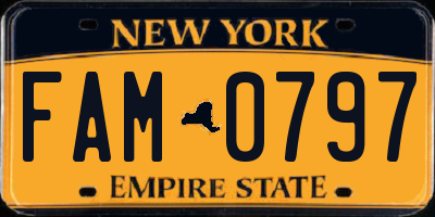 NY license plate FAM0797