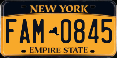 NY license plate FAM0845