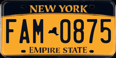 NY license plate FAM0875