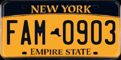 NY license plate FAM0903