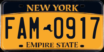 NY license plate FAM0917