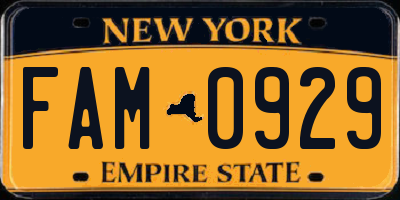 NY license plate FAM0929