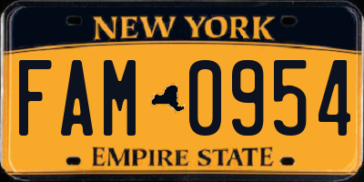 NY license plate FAM0954