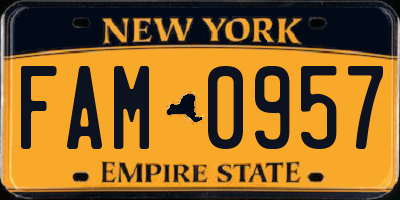 NY license plate FAM0957