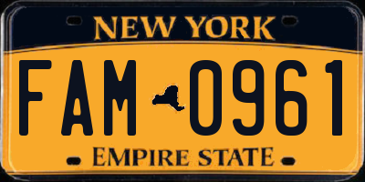 NY license plate FAM0961