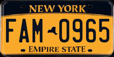 NY license plate FAM0965
