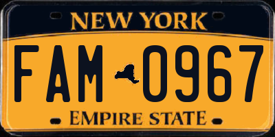 NY license plate FAM0967