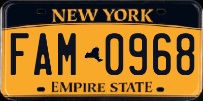 NY license plate FAM0968