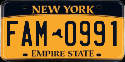NY license plate FAM0991