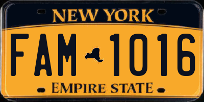 NY license plate FAM1016