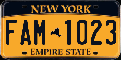 NY license plate FAM1023