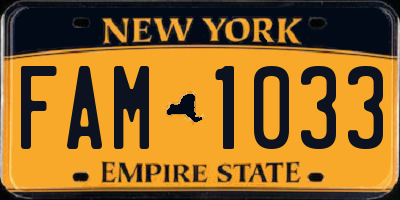 NY license plate FAM1033