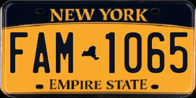NY license plate FAM1065