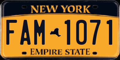 NY license plate FAM1071