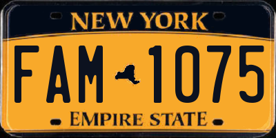 NY license plate FAM1075
