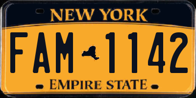 NY license plate FAM1142