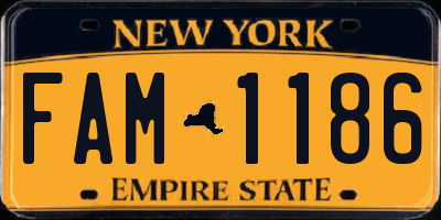 NY license plate FAM1186