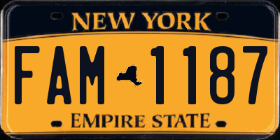 NY license plate FAM1187