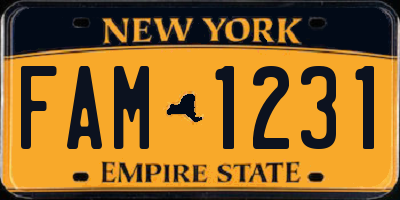 NY license plate FAM1231