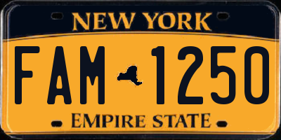 NY license plate FAM1250