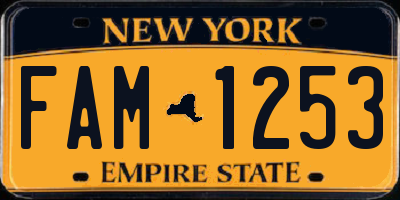NY license plate FAM1253