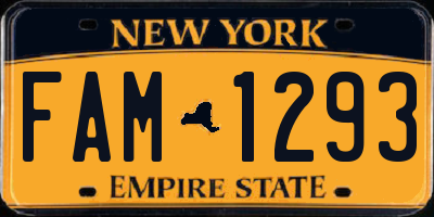 NY license plate FAM1293
