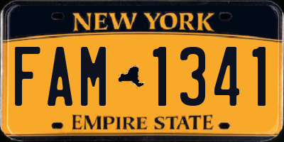 NY license plate FAM1341