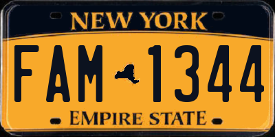 NY license plate FAM1344