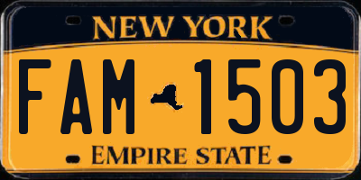 NY license plate FAM1503