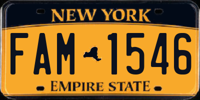 NY license plate FAM1546