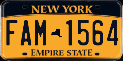 NY license plate FAM1564