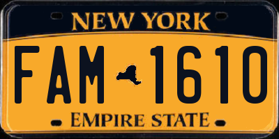 NY license plate FAM1610