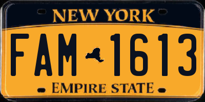 NY license plate FAM1613