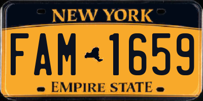 NY license plate FAM1659